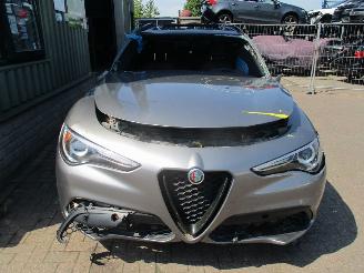 Gebrauchtwagen PKW Alfa Romeo Stelvio  2019/1