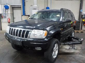škoda osobní automobily Jeep Grand-cherokee Grand Cherokee (WG/WJ) SUV 4.7i V-8 HO (EVC) [190kW]  (10-2001/09-2005=
) 2002/4