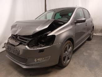 škoda osobní automobily Volkswagen Polo Polo V (6R) Hatchback 1.4 16V (CGGB(Euro 5)) [63kW]  (03-2009/05-2014)= 2010/5